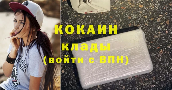 тгк Пестово