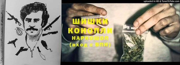тгк Пестово
