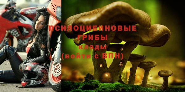 твердый Зерноград