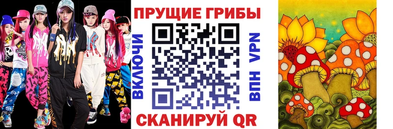 Псилоцибиновые грибы мицелий Славгород