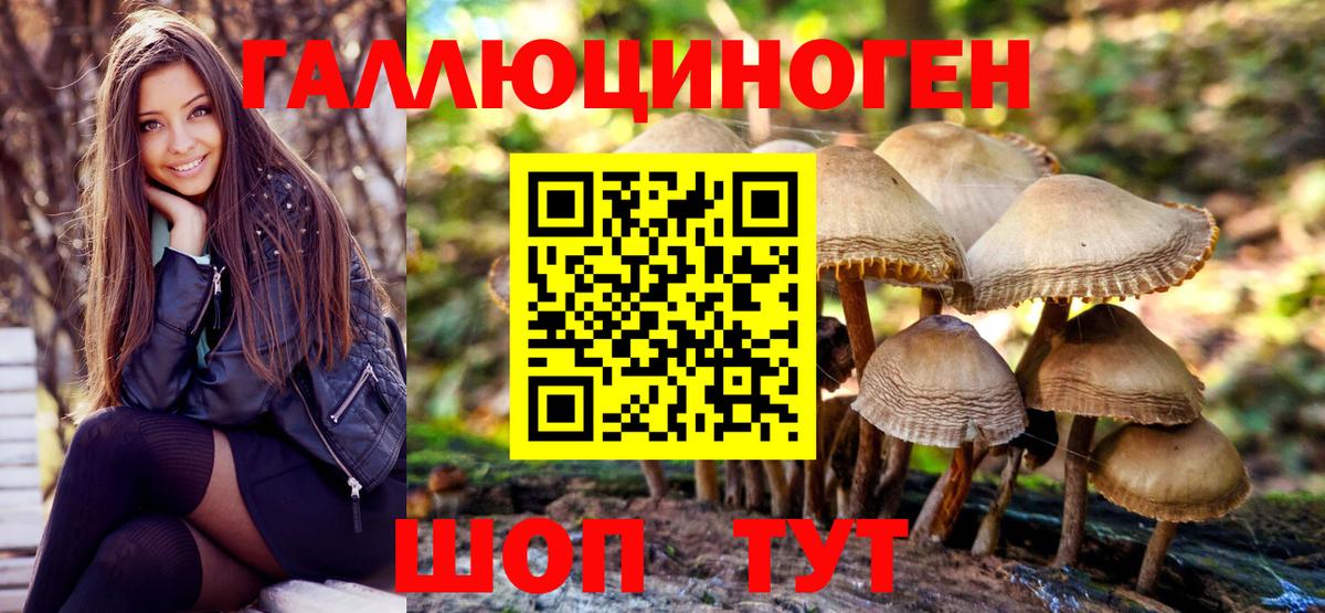 Галлюциногенные грибы прущие грибы Славгород