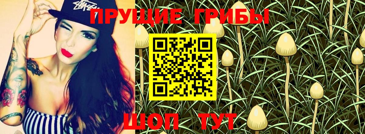 Псилоцибиновые грибы GOLDEN TEACHER  Псилоцибиновые грибы MAGIC MUSHROOMS  Славгород  Вход с VPN 