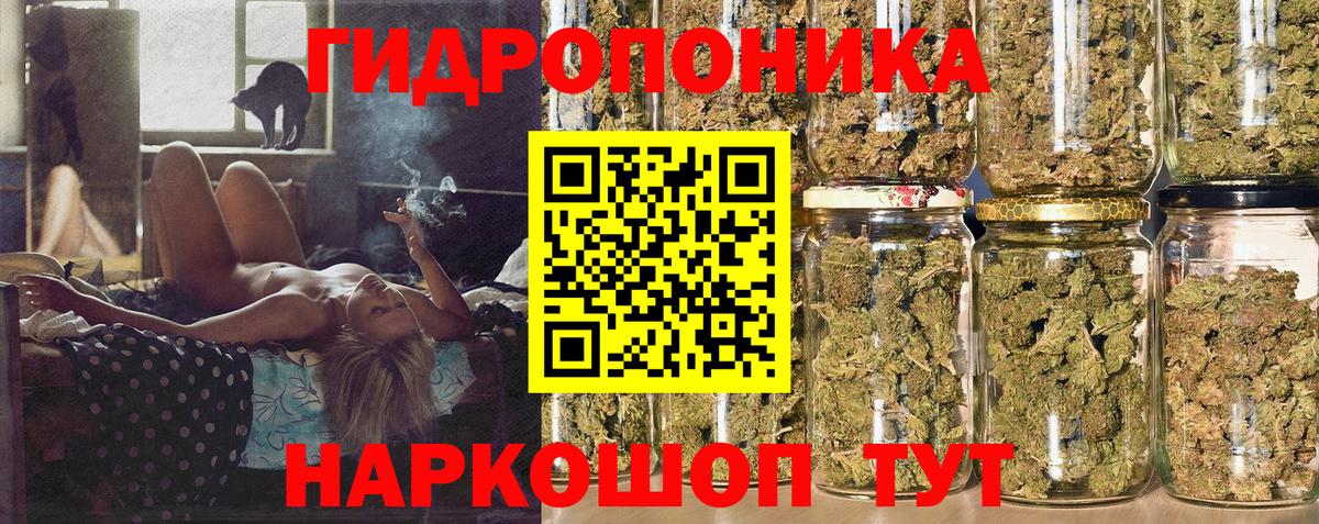 Шишки марихуана планчик  Шишки марихуана сатива  Славгород  Бошки марихуана Ganja 